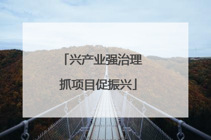 兴产业强治理 抓项目促振兴