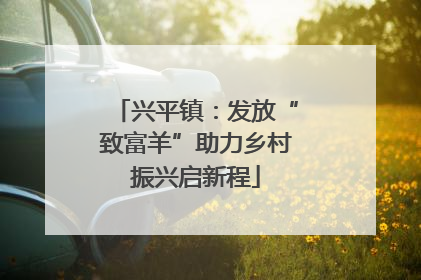 兴平镇：发放“致富羊”助力乡村振兴启新程