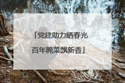 党建助力晒春光 百年腌菜飘新香