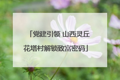 党建引领 山西灵丘花塔村解锁致富密码