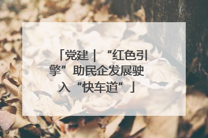 党建｜“红色引擎”助民企发展驶入“快车道”