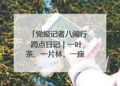 党报记者八闽行·蹲点日记｜一叶茶、一片林、一座厂的振兴接力