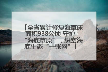 全省累计修复海草床面积938公顷 守护“海底草原”，织密海底生态“一张网”