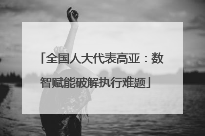 全国人大代表高亚：数智赋能破解执行难题