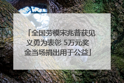 全国劳模宋兆普获见义勇为表彰 5万元奖金当场捐出用于公益