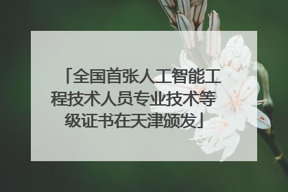 全国首张人工智能工程技术人员专业技术等级证书在天津颁发