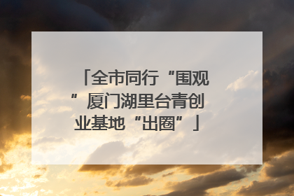 全市同行“围观”厦门湖里台青创业基地“出圈”