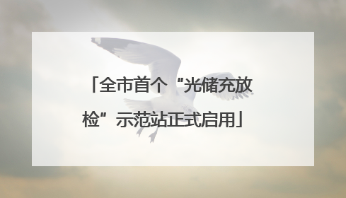 全市首个“光储充放检”示范站正式启用