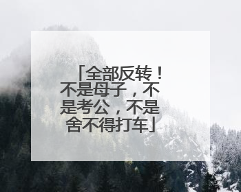 全部反转！不是母子，不是考公，不是舍不得打车