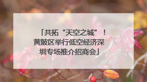 共拓“天空之城”！黄陂区举行低空经济深圳专场推介招商会