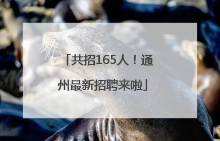 共招165人！通州最新招聘来啦