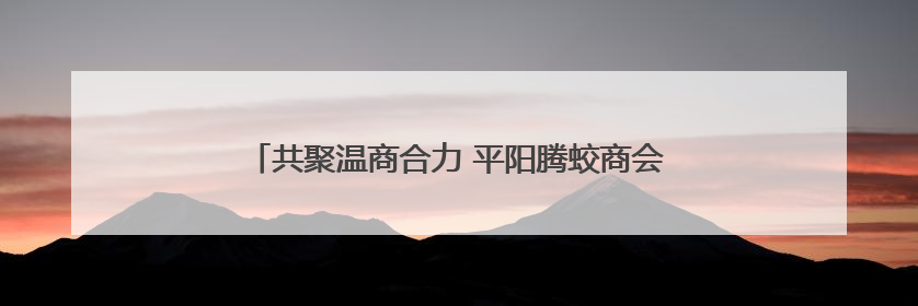 共聚温商合力 平阳腾蛟商会与南京温州商会开展交流活动