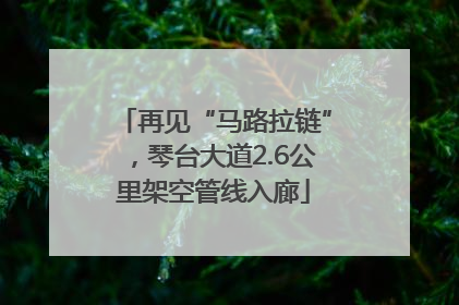 再见“马路拉链”，琴台大道2.6公里架空管线入廊