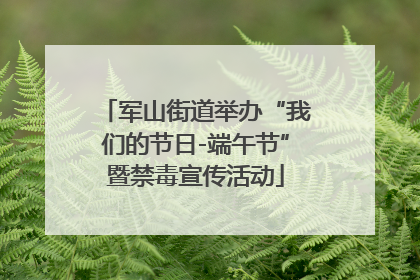 军山街道举办“我们的节日-端午节”暨禁毒宣传活动