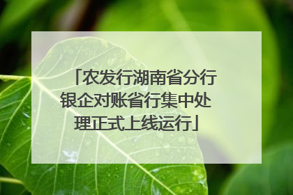 农发行湖南省分行银企对账省行集中处理正式上线运行