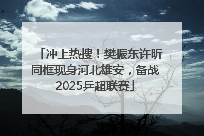 冲上热搜！樊振东许昕同框现身河北雄安，备战2025乒超联赛
