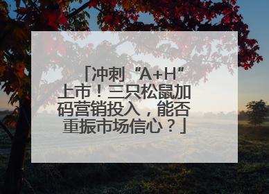 冲刺“A+H”上市！三只松鼠加码营销投入，能否重振市场信心？