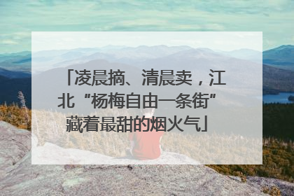 凌晨摘、清晨卖，江北“杨梅自由一条街”藏着最甜的烟火气
