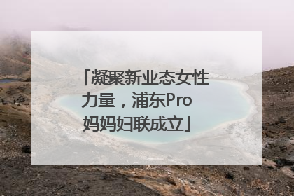 凝聚新业态女性力量，浦东Pro妈妈妇联成立