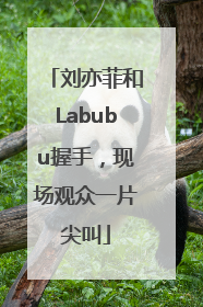 刘亦菲和Labubu握手，现场观众一片尖叫