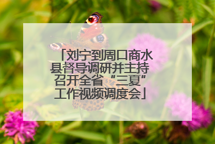 刘宁到周口商水县督导调研并主持召开全省“三夏”工作视频调度会