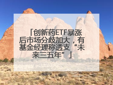 创新药ETF暴涨后市场分歧加大，有基金经理称透支“未来三五年”