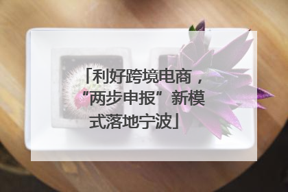 利好跨境电商，“两步申报”新模式落地宁波