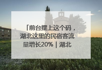 前台摆上这个码，湖北这里的民宿客流量增长20%｜湖北市场监管所的故事