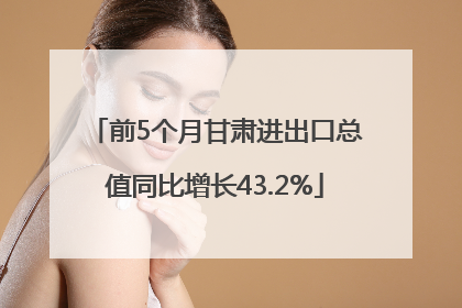 前5个月甘肃进出口总值同比增长43.2%