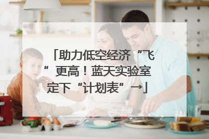 助力低空经济“飞”更高！蓝天实验室定下“计划表”→