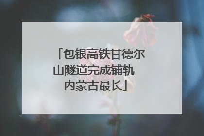 包银高铁甘德尔山隧道完成铺轨 内蒙古最长