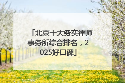 北京十大务实律师事务所综合排名，2025好口碑
