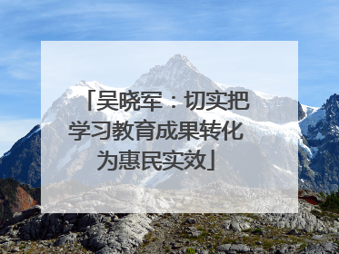 吴晓军：切实把学习教育成果转化为惠民实效