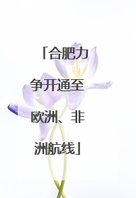 合肥力争开通至欧洲、非洲航线