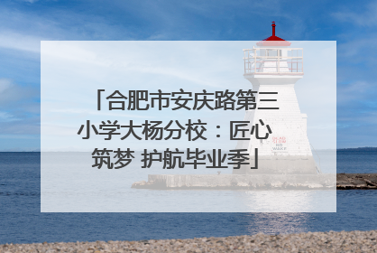 合肥市安庆路第三小学大杨分校：匠心筑梦 护航毕业季