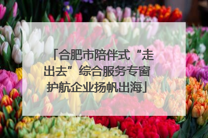 合肥市陪伴式“走出去”综合服务专窗护航企业扬帆出海