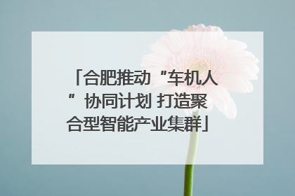 合肥推动“车机人”协同计划 打造聚合型智能产业集群