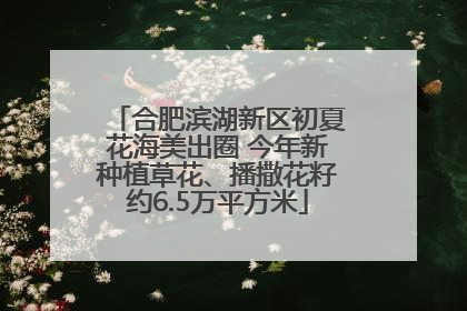 合肥滨湖新区初夏花海美出圈 今年新种植草花、播撒花籽约6.5万平方米