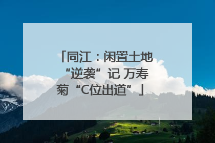 同江：闲置土地“逆袭”记 万寿菊“C位出道”