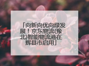向新向优向绿发展！京东物流(豫北)智能物流港在辉县市启用
