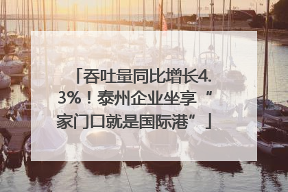 吞吐量同比增长4.3%！泰州企业坐享“家门口就是国际港”
