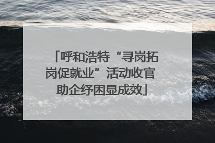 呼和浩特“寻岗拓岗促就业”活动收官 助企纾困显成效