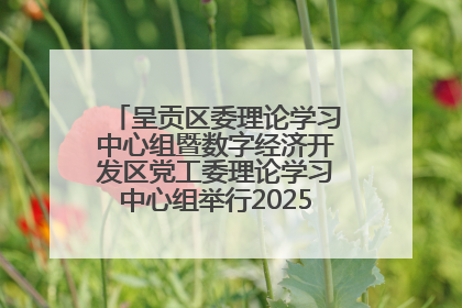 呈贡区委理论学习中心组暨数字经济开发区党工委理论学习中心组举行2025年第七次学习会议