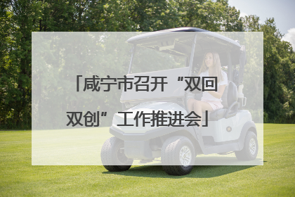 咸宁市召开“双回双创”工作推进会