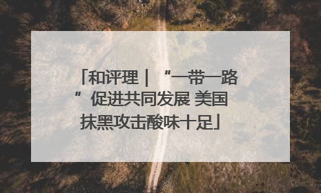 和评理｜“一带一路”促进共同发展 美国抹黑攻击酸味十足