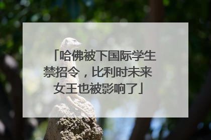 哈佛被下国际学生禁招令，比利时未来女王也被影响了
