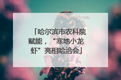 哈尔滨市农科院赋能，“寒地小龙虾”亮相哈洽会