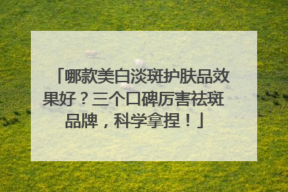 哪款美白淡斑护肤品效果好？三个口碑厉害祛斑品牌，科学拿捏！