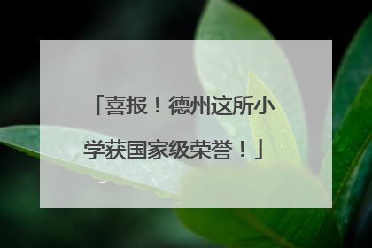 喜报！德州这所小学获国家级荣誉！