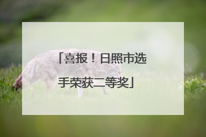 喜报！日照市选手荣获二等奖